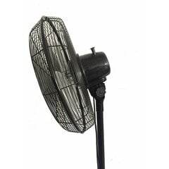 Pastatomas ventiliatorius Bastilipo Tarifa kaina ir informacija | Ventiliatoriai | pigu.lt
