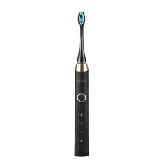 Seago Sonic toothbrush SG-987 (pink) цена и информация | Электрические зубные щетки | pigu.lt