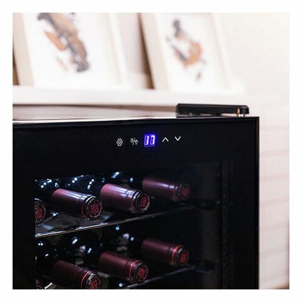 Cecotec GrandSommelier 20000 kaina ir informacija | Vyno šaldytuvai | pigu.lt