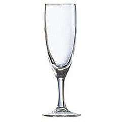 Arcoroc šampano taurė, 6 vnt., 150 ml kaina ir informacija | Taurės, puodeliai, ąsočiai | pigu.lt