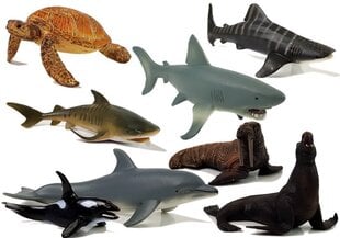 Образовательные фигурки Морские животные 8 шт. (Акулы, тюлень, дельфин, морж, черепаха) цена и информация | Игрушки для девочек | pigu.lt