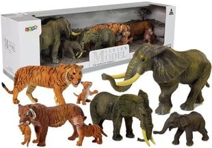 Figūrėlių rinkinys Safari gyvūnai Lean Toys, 7 vnt. kaina ir informacija | Žaislai mergaitėms | pigu.lt