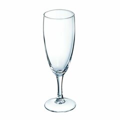 Бокал для шампанского Arcoroc Elegance Прозрачный Cтекло 12 штук (17 CL) цена и информация | Стаканы, фужеры, кувшины | pigu.lt
