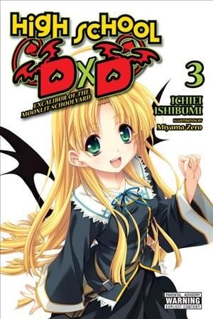 High School DxD, Vol. 3 (light novel) цена и информация | Fantastinės, mistinės knygos | pigu.lt