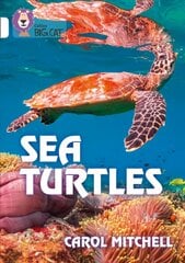 Sea Turtles: Band 10/White kaina ir informacija | Socialinių mokslų knygos | pigu.lt