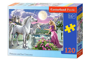 Dėlionė Castorland Princess and her Unicorns, 120 dalių kaina ir informacija | Dėlionės (puzzle) | pigu.lt