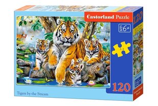 Dėlionė Castorland Tigers by the Stream, 120 dalių kaina ir informacija | Dėlionės (puzzle) | pigu.lt