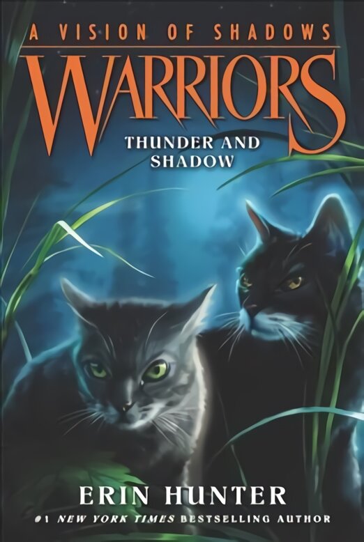 Warriors: A Vision of Shadows #2: Thunder and Shadow 2nd edition kaina ir informacija | Knygos paaugliams ir jaunimui | pigu.lt