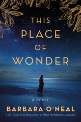 This Place of Wonder: A Novel kaina ir informacija | Fantastinės, mistinės knygos | pigu.lt