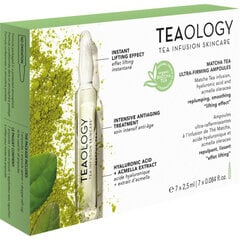 Ampulės Teaology su Matcha arbata, 7 x 2,5 ml kaina ir informacija | Veido aliejai, serumai | pigu.lt
