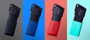 USB-накопитель KINGSTON DataTraveler Exodia M, 256 ГБ, 3.2 цена и информация | USB накопители | pigu.lt