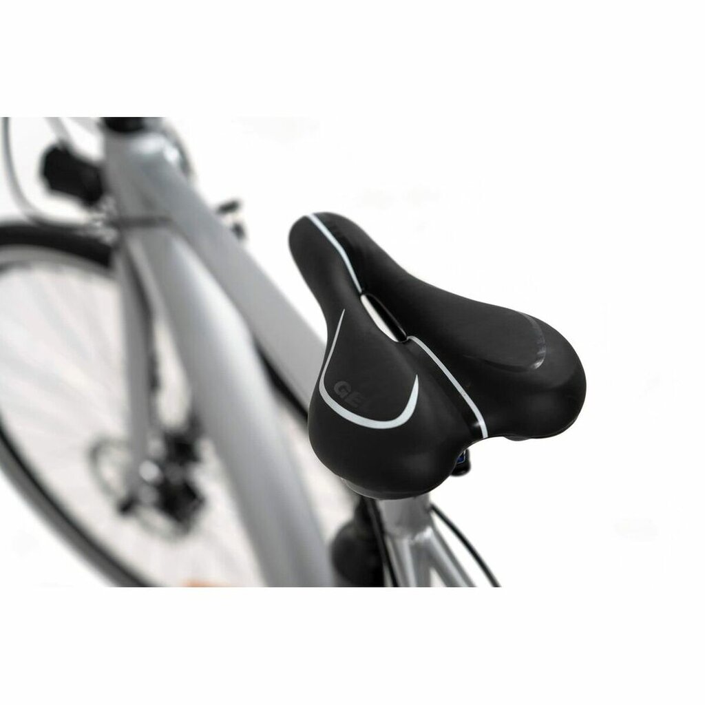 Elektrinis dviratis Youin BK1500 NEW YORK 29" 250W kaina ir informacija | Elektriniai dviračiai | pigu.lt
