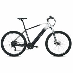 Elektrinis dviratis Youin BK3000 EVEREST 250W 29" kaina ir informacija | Elektriniai dviračiai | pigu.lt