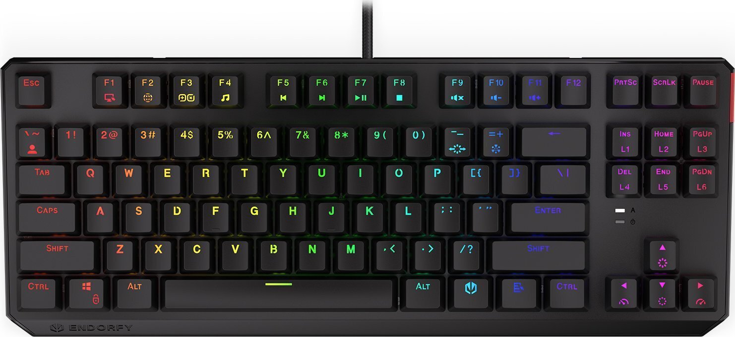 Endorfy Thock TKL Kailh BR RGB цена и информация | Klaviatūros | pigu.lt