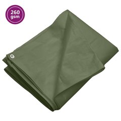 Tentas,8x10m, 260g/m², hdpe цена и информация | Садовые инструменты | pigu.lt