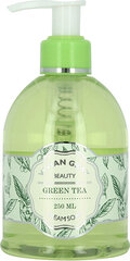 Skystas muilas Vivian Gray Green Tea, 250 ml kaina ir informacija | Muilai | pigu.lt