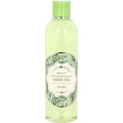 Гель для душа Vivian Gray Beauty Green Tea, 250 мл цена и информация | Масла, гели для душа | pigu.lt