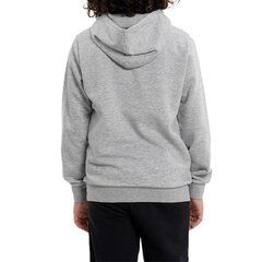 HOODIE CHAMPION HOODED SWEATSHIRT 306169EM006 306169EM006 цена и информация | Свитеры, жилетки, пиджаки для мальчиков | pigu.lt