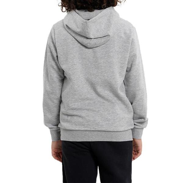 Džemperis champion hooded sweatshirt 306169em006 306169EM006 kaina ir informacija | Megztiniai, bluzonai, švarkai berniukams | pigu.lt