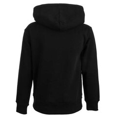 HOODIE CHAMPION LEGACY HOODED SWEATSHIRT 404540KK001 404540KK001 цена и информация | Свитеры, жилетки, пиджаки для девочек | pigu.lt