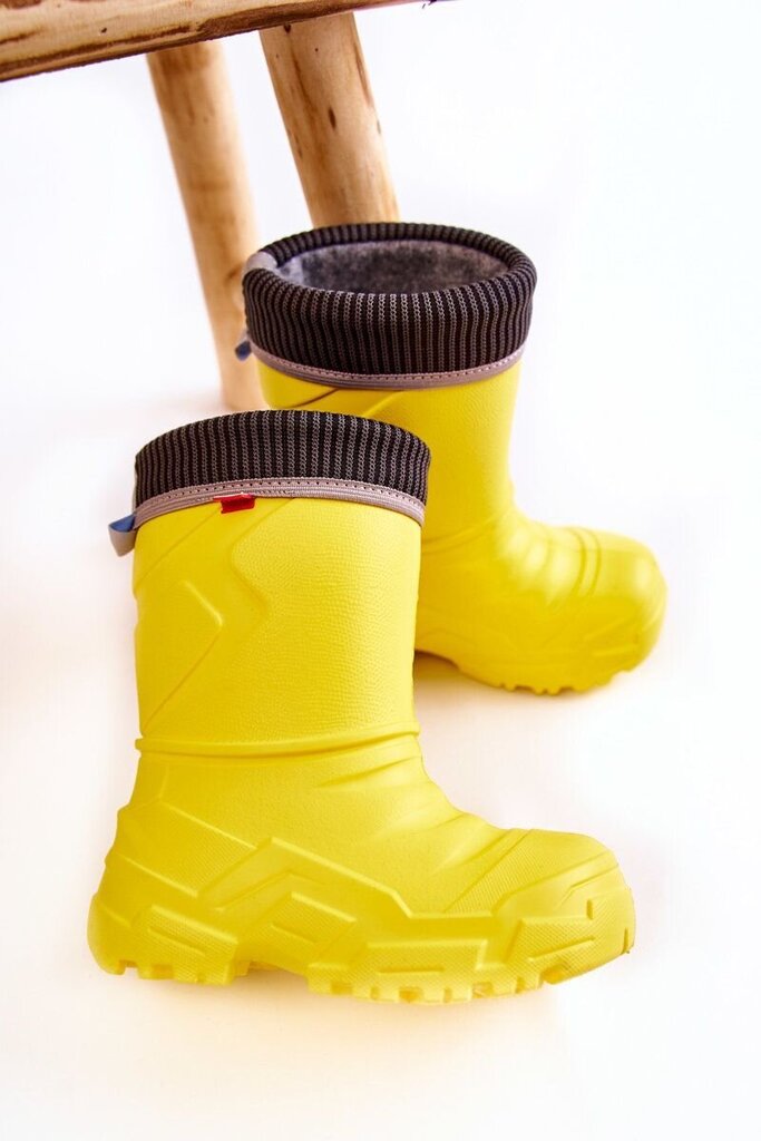 Vaikiški lietaus batai Befado, BSB22129.1274 цена и информация | Guminiai batai vaikams | pigu.lt