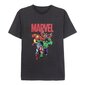 Vyriški marškinėliai su trumpomis rankovėmis Marvel S0731189 kaina ir informacija | Vyriški marškinėliai | pigu.lt