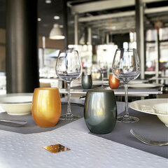 Chef&Sommelier stiklinė, 360 ml kaina ir informacija | Taurės, puodeliai, ąsočiai | pigu.lt