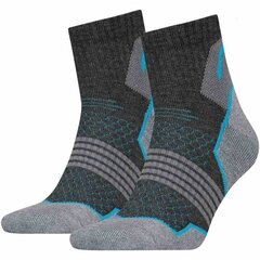 Sportinės kojinės Head Hiking 2PK, pilkos kaina ir informacija | Vyriškos kojinės | pigu.lt
