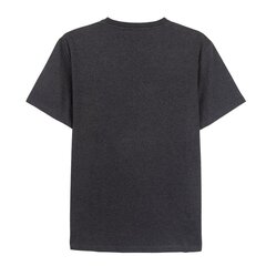 Vyriški marškinėliai su trumpomis rankovėmis Batman S0730903, pilki kaina ir informacija | Vyriški marškinėliai | pigu.lt