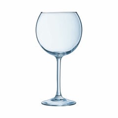 Arcoroc Ballon vyno taurė kaina ir informacija | Taurės, puodeliai, ąsočiai | pigu.lt