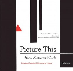 Picture This: How Pictures Work: How Pictures Work Special edition kaina ir informacija | Knygos apie meną | pigu.lt