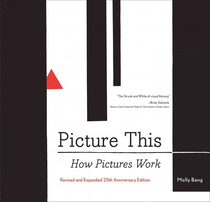 Picture This: How Pictures Work: How Pictures Work Special edition цена и информация | Knygos apie meną | pigu.lt