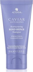 Alterna Caviar Restructuring Bond Repair atstatomasis šampūnas, 40 ml kaina ir informacija | Šampūnai | pigu.lt