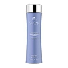 Alterna Caviar Restructuring Bond Repair atstatomasis šampūnas, 250 ml kaina ir informacija | Šampūnai | pigu.lt