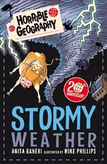 Stormy Weather цена и информация | Книги для подростков и молодежи | pigu.lt