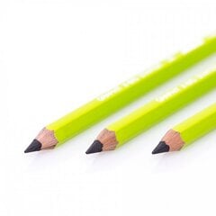 Grafitinis pieštukas X-BIG STARTER, Jolly, 2B kaina ir informacija | Rašymo priemonės | pigu.lt