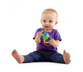 Clickity Twist kramtomasis žaislas/žaislas kaina ir informacija | Oball Vaikams ir kūdikiams | pigu.lt