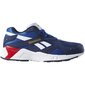 Sportiniai batelai Reebok AZTREK DV3911 kaina ir informacija | Sportiniai bateliai, kedai moterims | pigu.lt