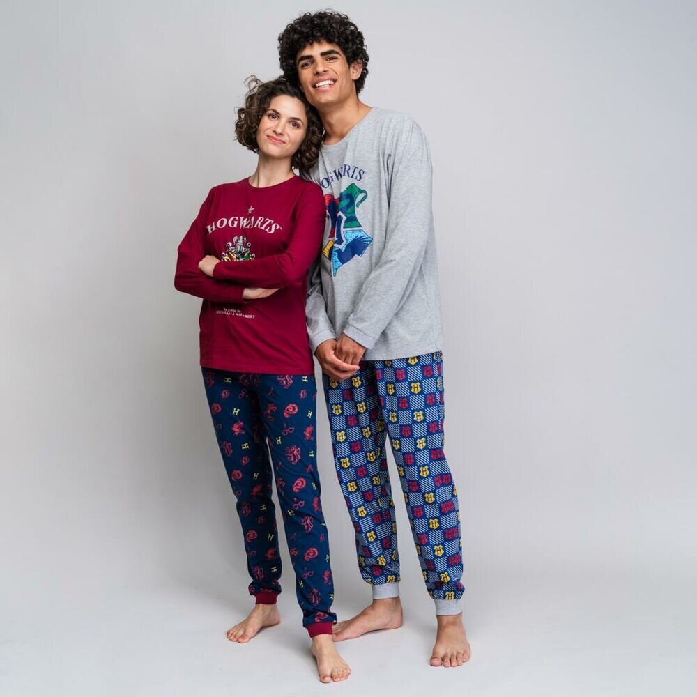 Pižama vyrams Harry Potter S0729028, pilkos spalvos цена и информация | Vyriški chalatai, pižamos | pigu.lt