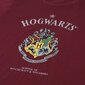 Pižama vyrams Harry Potter, raudona kaina ir informacija | Vyriški chalatai, pižamos | pigu.lt