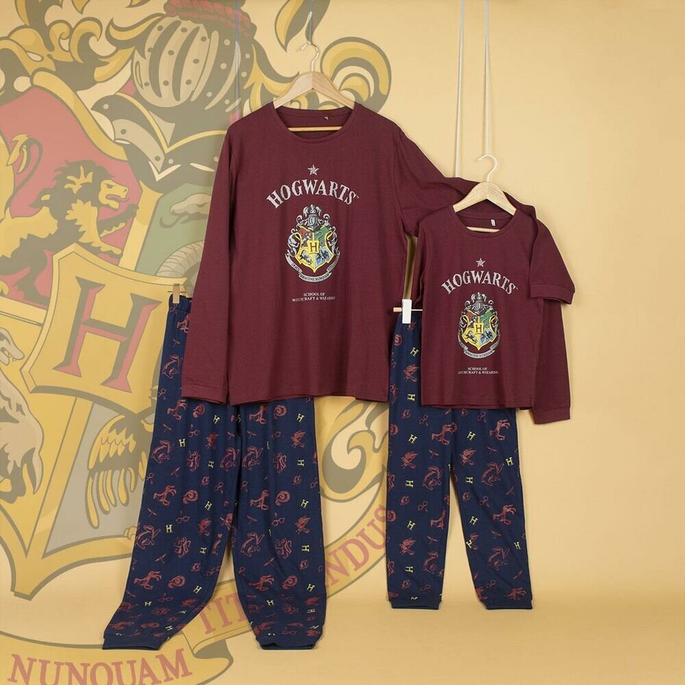 Pižama vyrams Harry Potter S0728502 kaina ir informacija | Vyriški chalatai, pižamos | pigu.lt