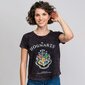 Marškinėliai su trumpomis rankovėmis moterims Harry Potter, pilki kaina ir informacija | Marškinėliai moterims | pigu.lt