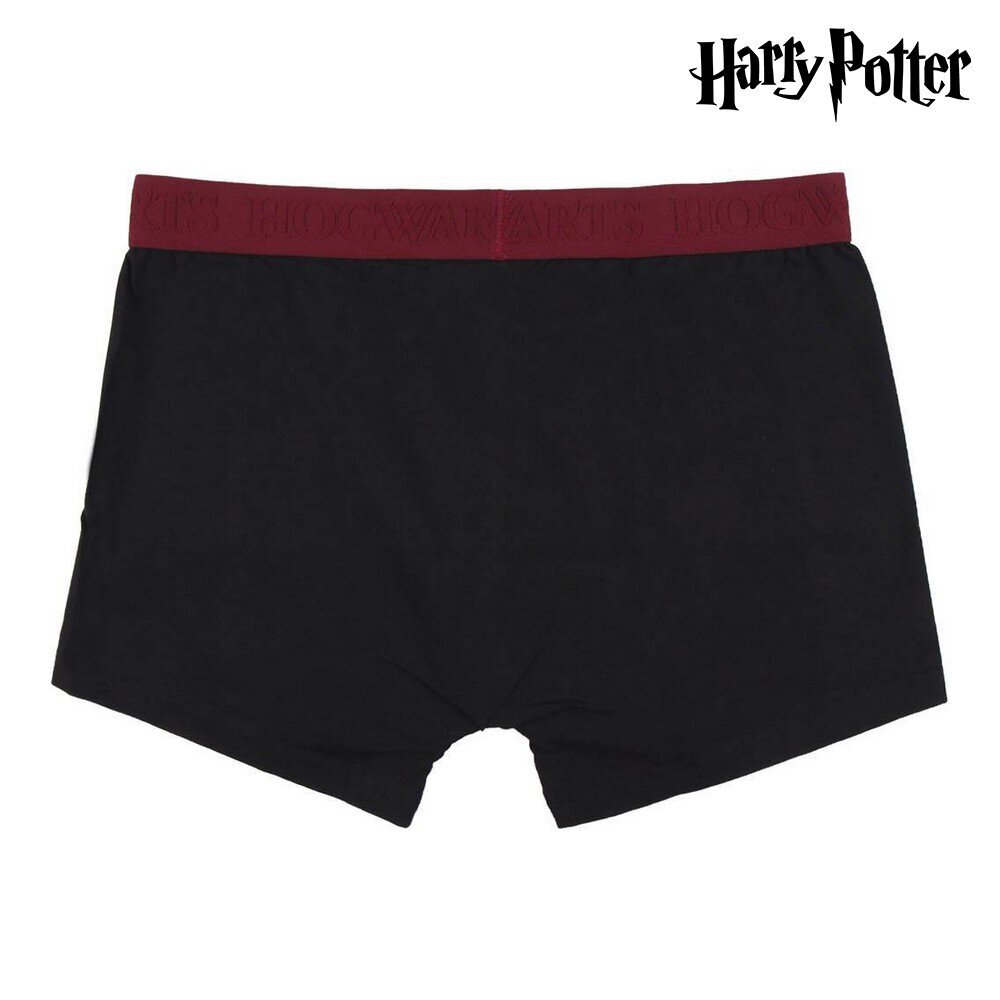 Vyriški apatiniai šortai Harry Potter S0726980 kaina ir informacija | Trumpikės | pigu.lt