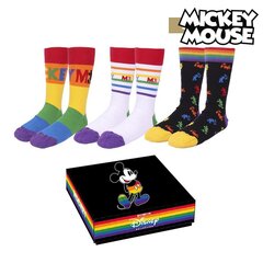 Носки Disney Pride Разноцветный (3 uds) цена и информация | Женские носки | pigu.lt