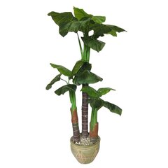 Dirbtinis augalas Taro 170cm kaina ir informacija | Dirbtinės gėlės | pigu.lt