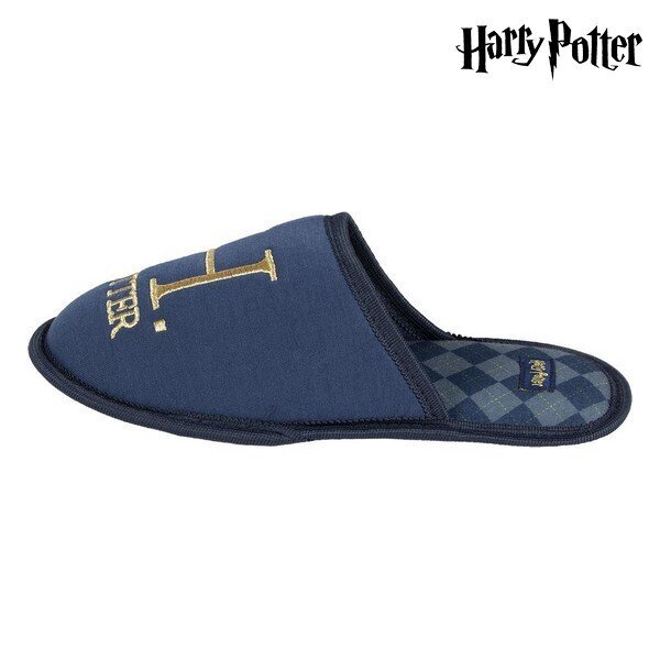 Šlepetės vyrams Harry Potter S0723697 цена и информация | Vyriškos šlepetės, basutės | pigu.lt