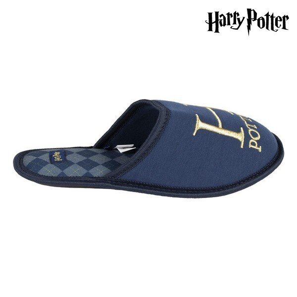 Šlepetės vyrams Harry Potter S0723697 kaina ir informacija | Vyriškos šlepetės, basutės | pigu.lt