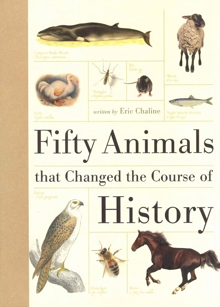 Fifty Animals That Changed the Course of History UK ed. kaina ir informacija | Knygos apie sveiką gyvenseną ir mitybą | pigu.lt