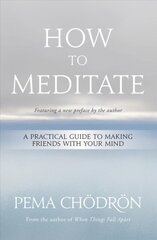 How to Meditate: A Practical Guide to Making Friends with Your Mind kaina ir informacija | Saviugdos knygos | pigu.lt