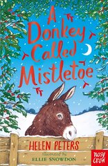 Donkey Called Mistletoe kaina ir informacija | Knygos paaugliams ir jaunimui | pigu.lt
